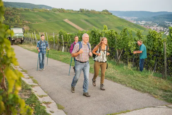 wandern-in-den-weinbergen